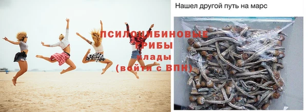 дмт Армянск