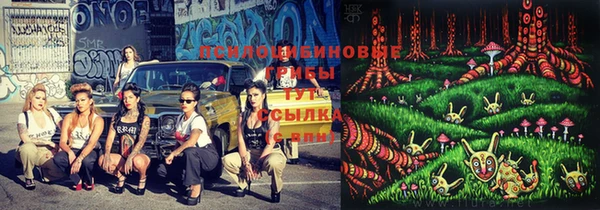 PSILOCYBIN Арсеньев