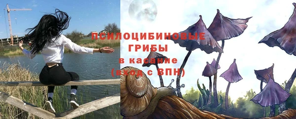 PSILOCYBIN Арсеньев