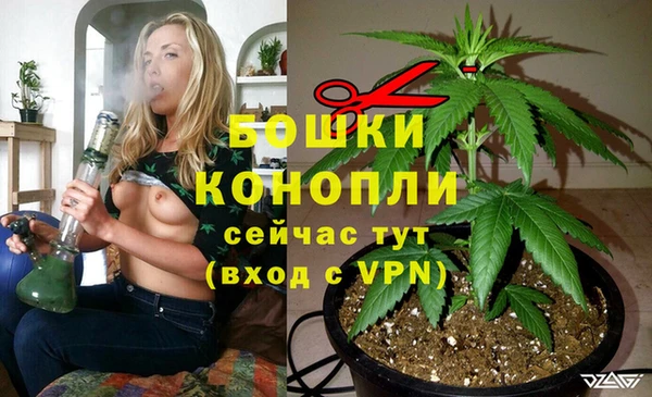 PSILOCYBIN Арсеньев